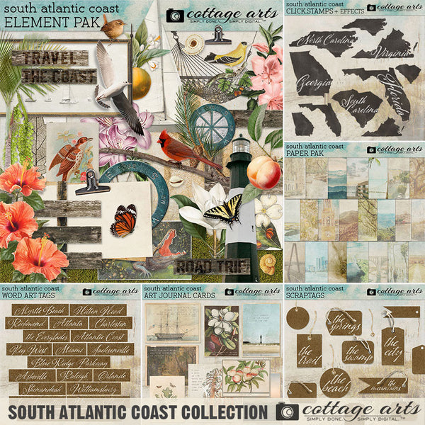 South Atlantic Coast Art Journal Cards