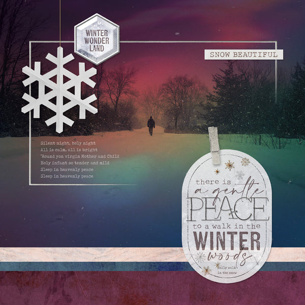 Winter Beauty Paper Pak