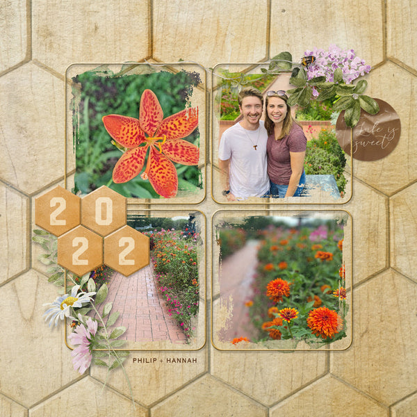 The Bee's Knees Collection