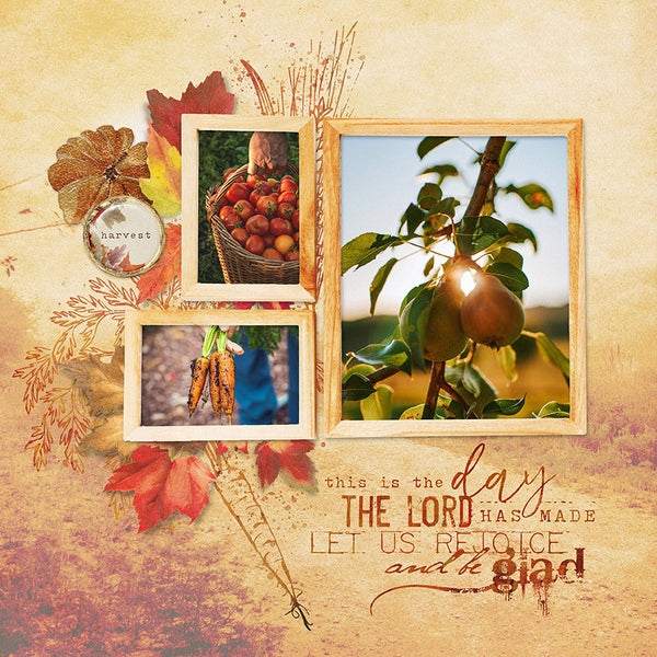 Autumn Grace Frame Clusters