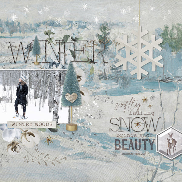 Winter Beauty Paper Pak