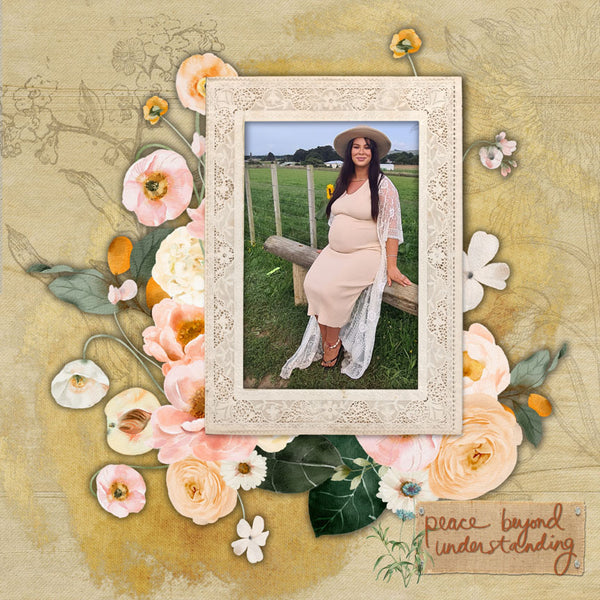 Sunflower Fields Collection