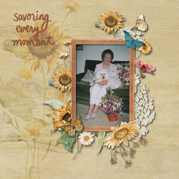 Sunflower Fields Paper Pak