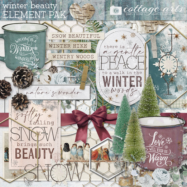 Winter Beauty Element Pak