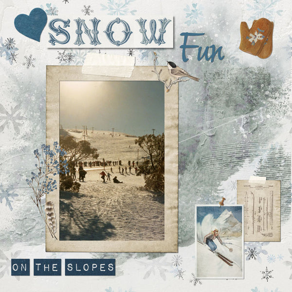 Winter Ventures AlphaSet