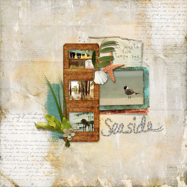 By the Sea Collection