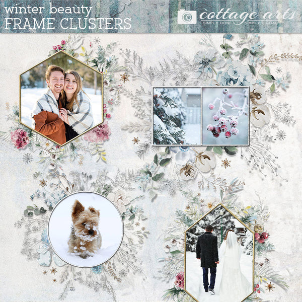 Winter Beauty Frame Clusters