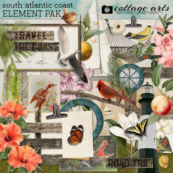 South Atlantic Coast Element Pak