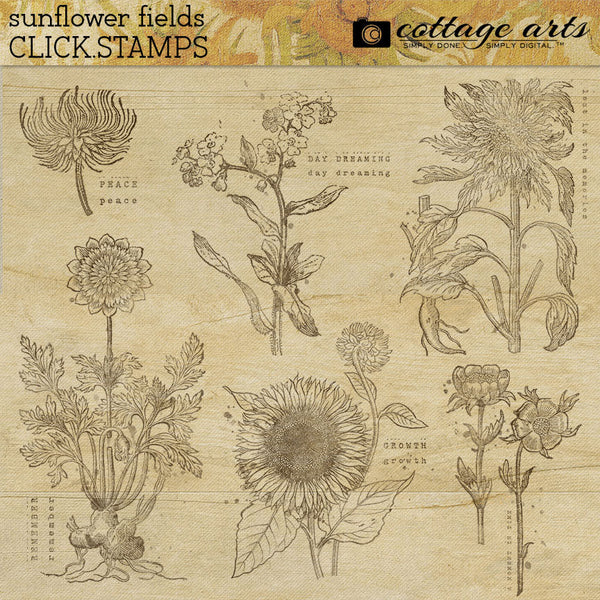 Sunflower Fields Click.Stamps