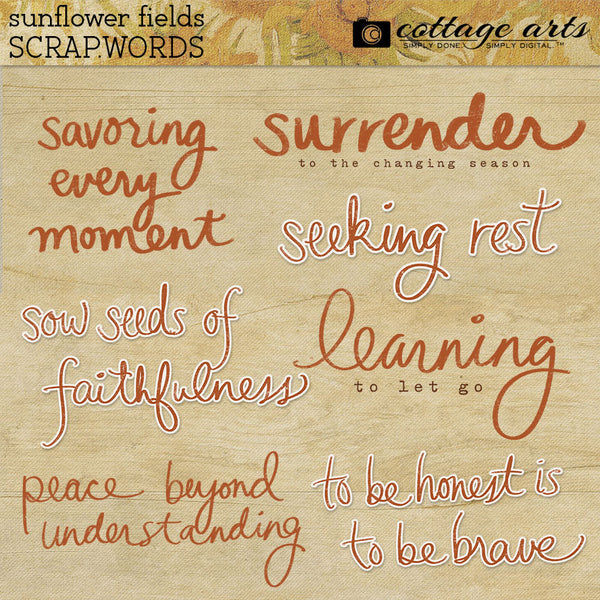 Sunflower Fields Collection