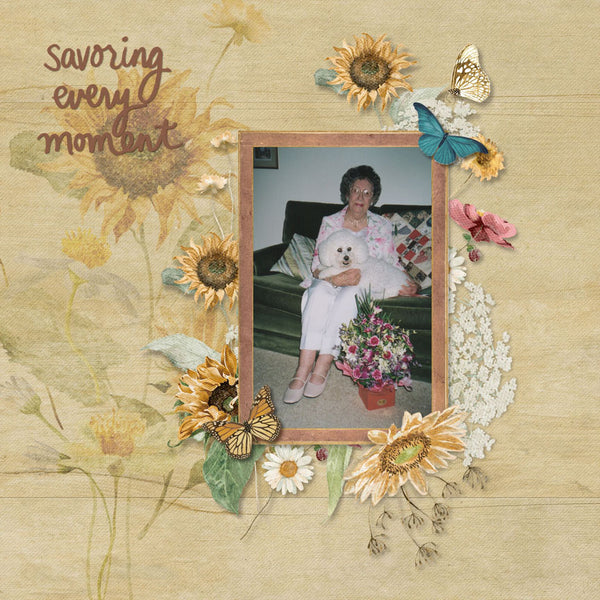 Sunflower Fields Collection