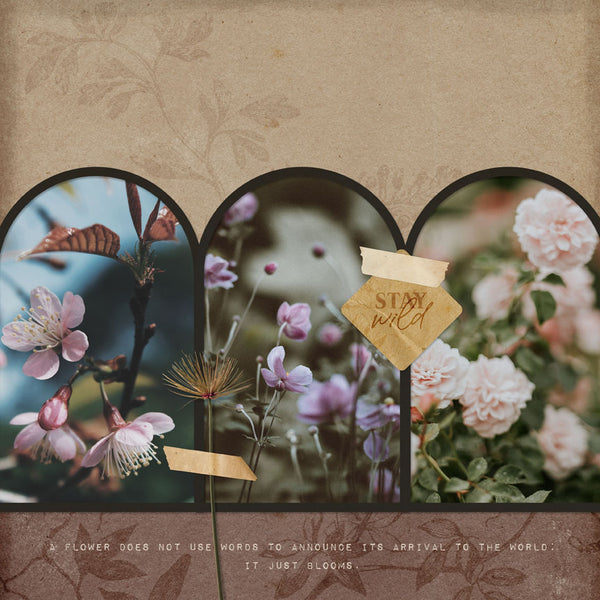 Boho Botanicals Add-on Pak