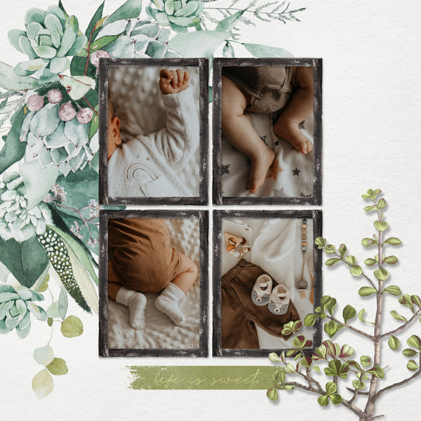 Succulent Love Page Pak