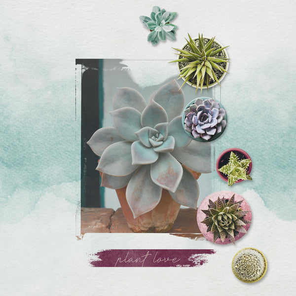 Succulent Love Page Pak