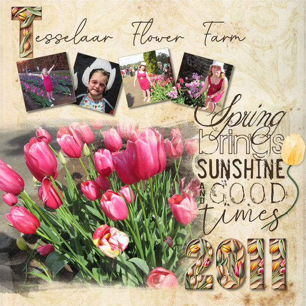 Timeless Tulips Paper Pak