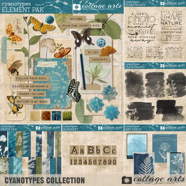 Cyanotypes Art Cards