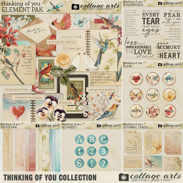 Thinking of You AlphaSet
