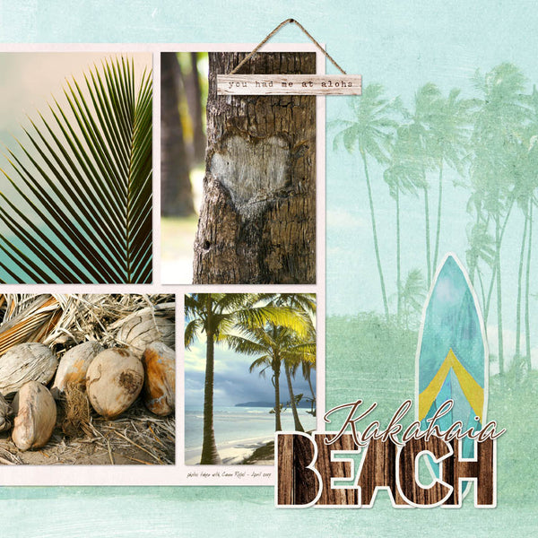 Hello Paradise Collection