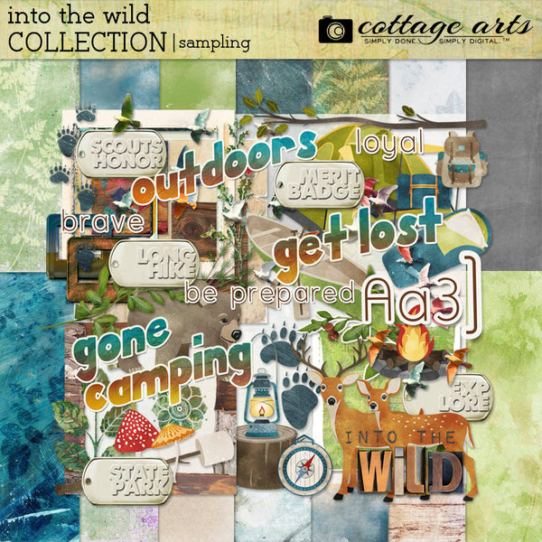 Into the Wild Collection