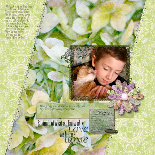 Botanical Beauty Element Pak