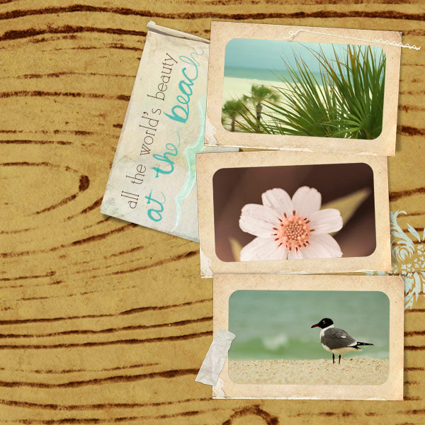 Organics 1 Paper Pak