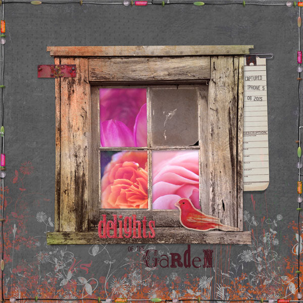 Nature's Garden Element Pak w/ Alpha