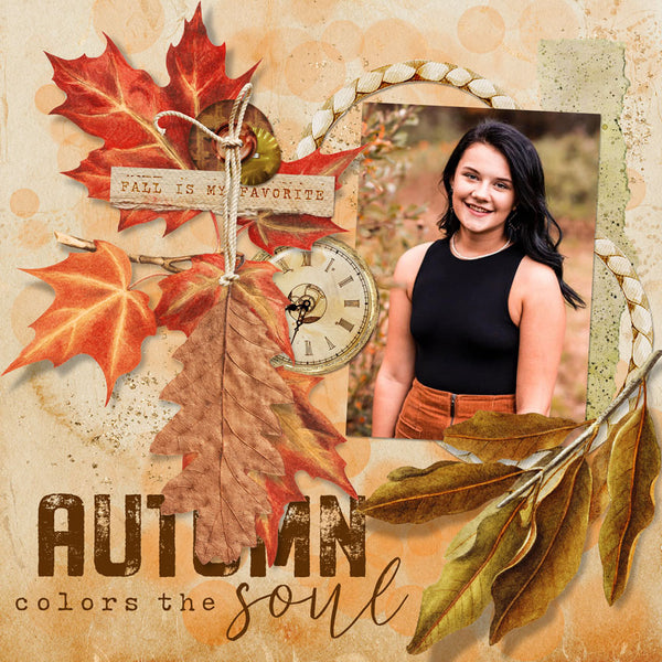 Autumn Colors Collection