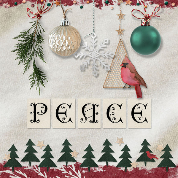 Christmas Wonder Paper Pak