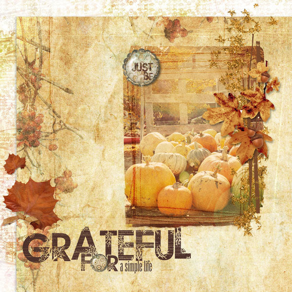 Harvest Medley Paper Pak