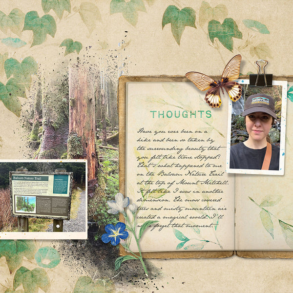 New Dream 2 Journals