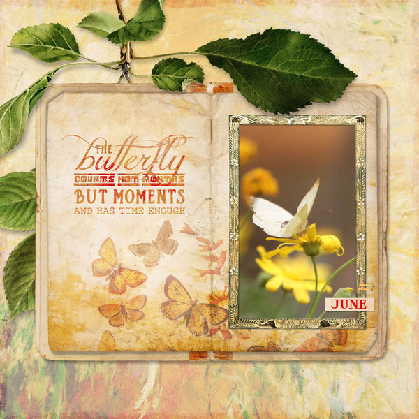 Summers Solstice Scrap.Words