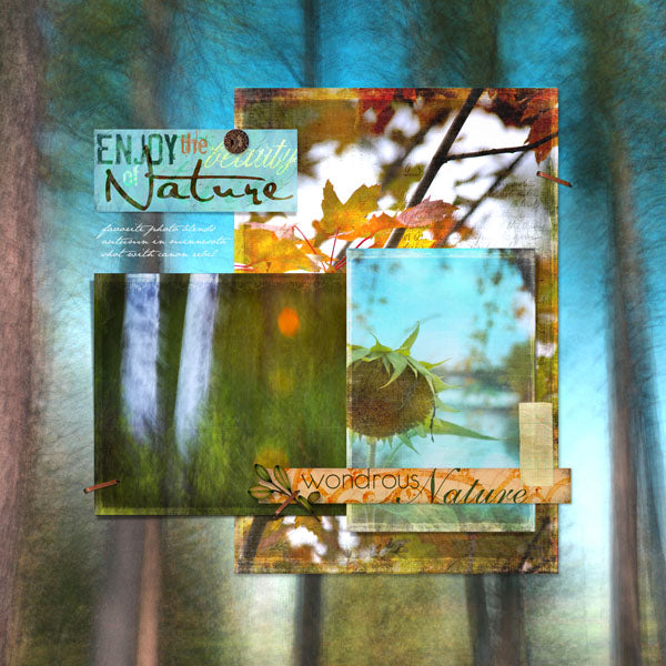 Into the Woods 4 Artisan Papers