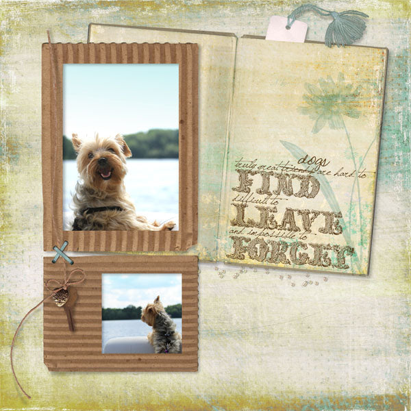 Nature's Sketchbook Brushes & Stamps 1