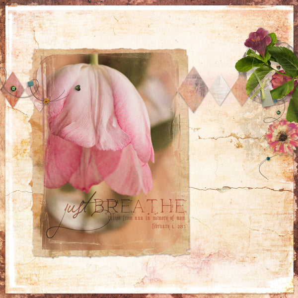 Spring Medley Element Pak
