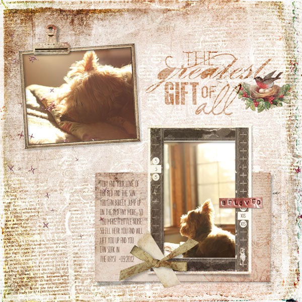Evergreen Dreams Scrap.Words