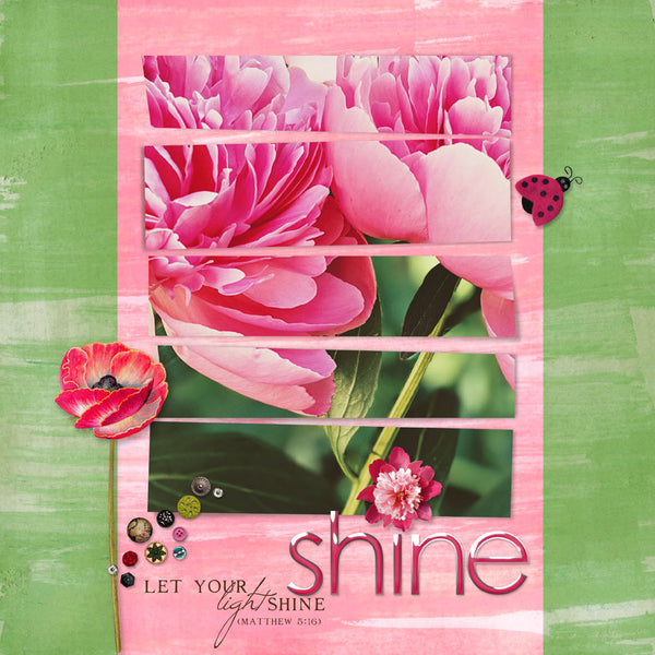 Blossoms Paper Pak