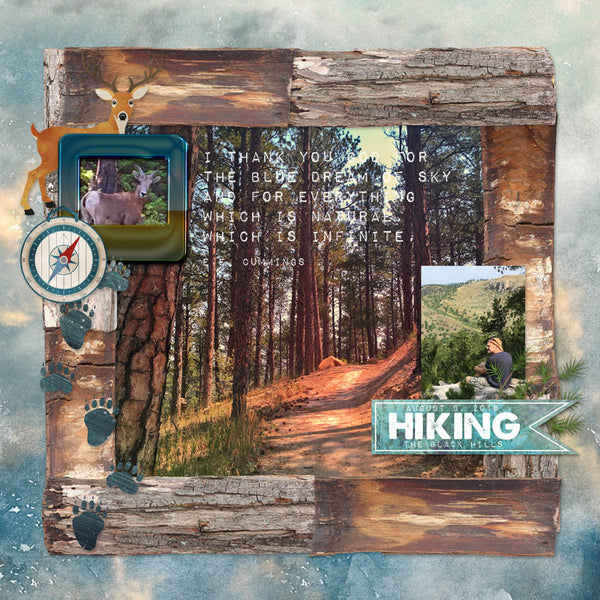 Into the Wild Collection