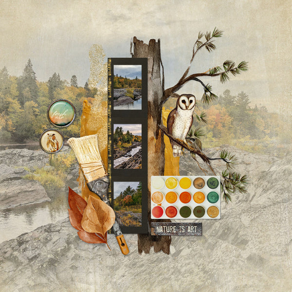 Painted Forest Element Pak