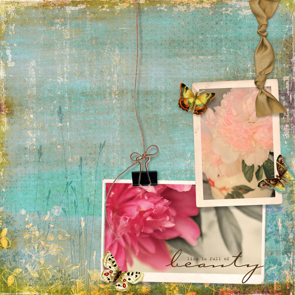 Nature's Garden Paper Pak