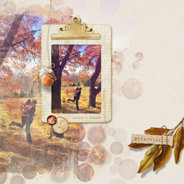 Autumn Colors Collection
