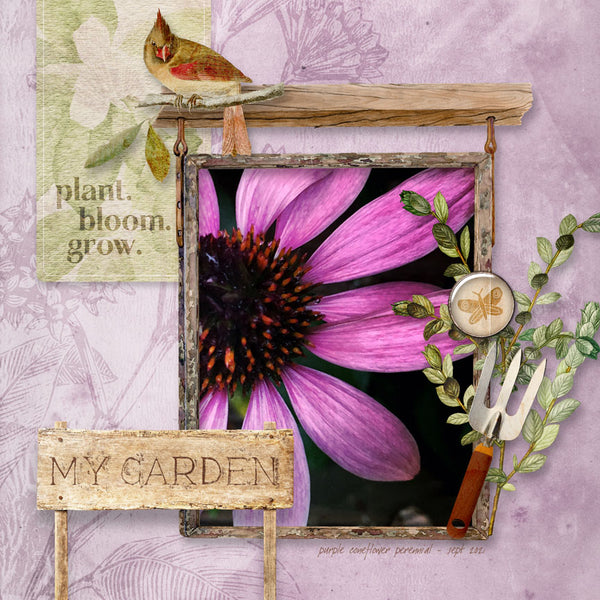 In Full Bloom Element Pak