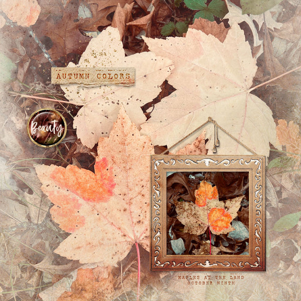 Autumn Colors Collection