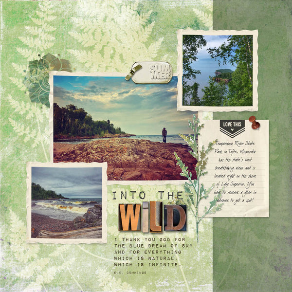 Into the Wild Collection