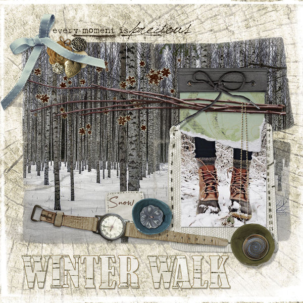 Winter Birch Collection