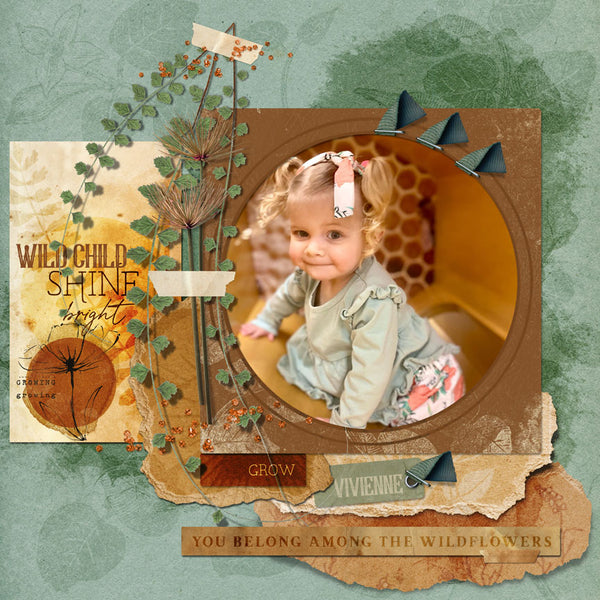 Boho Botanicals Click.Stamps