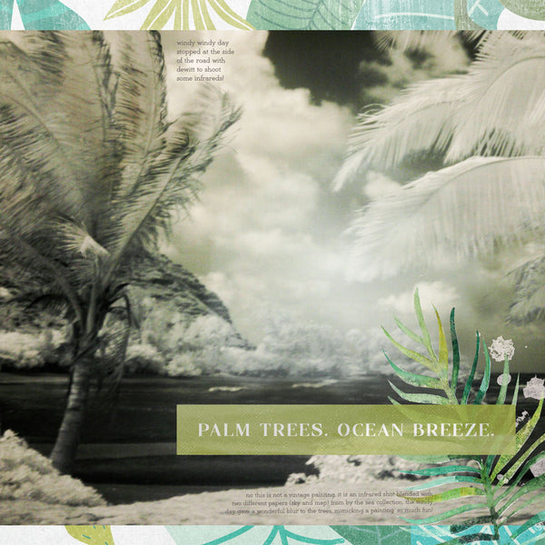 Hello Paradise Collection