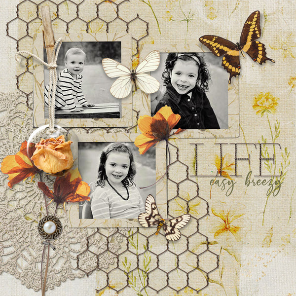 Torn & Tattered Collection
