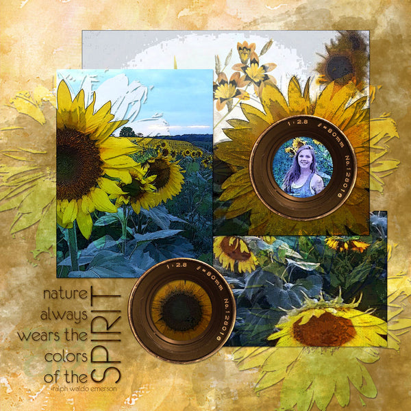 Planting Hope Collection