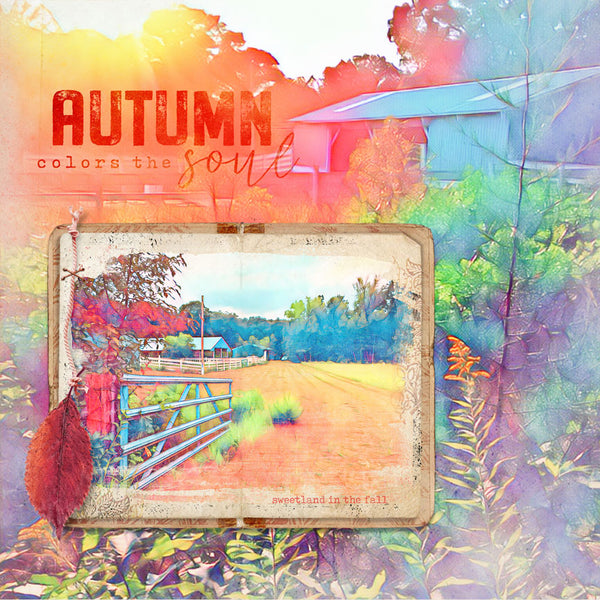 Autumn Colors Collection