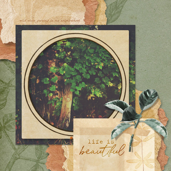 Boho Botanicals Paper Pak